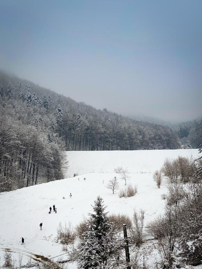 Forest View Oasis Apartment Brasov Bagian luar foto